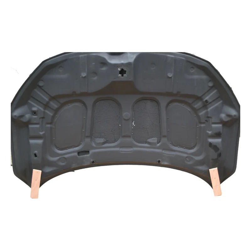DM-1 Style Carbon Fiber Front Bonnet for  X 10th Gen 2016-2019 New Condition Engine Hood Cover with Included